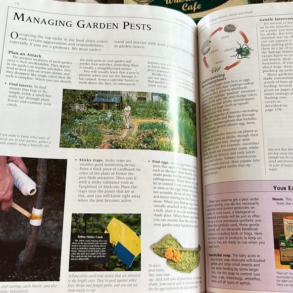 Gardening Essentials Book Hardcover Coffee Table Book Garden Club 2006 Oversized - Picture 11 of 16
